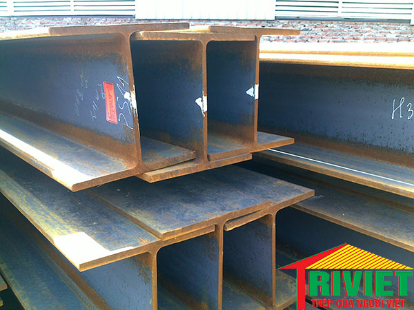 Thép H244x175, Sắt H244x175