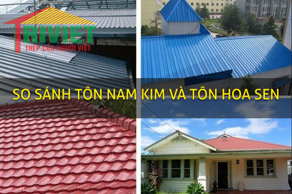 so sanh ton nam kim va ton hoa sen 1