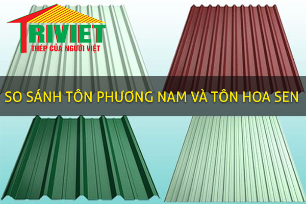 so sanh ton phuong nam va ton hoa sen
