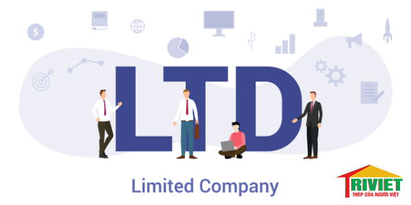 CO.LTD có hai loại hình chính với cơ cấu nội bộ khác nhau