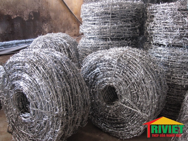 Độ dài cuộn thép gai mạ kẽm tùy thuộc vào tiết diện dây thép